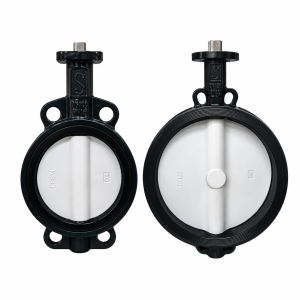 Butterfly Valve